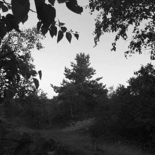 Nortfalke : Verscholen Dimensies